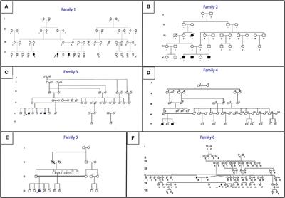 Clinical and Genetic Heterogeneity in Six Tunisian Families With Horizontal Gaze Palsy With Progressive Scoliosis: A Retrospective Study of 13 Cases